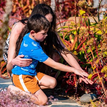 Valley Lodge - Babanango Game Reserve,,3.5 star