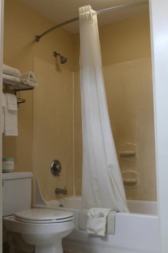 quality inn lake city