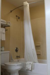 quality inn lake city