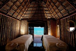 bacalar