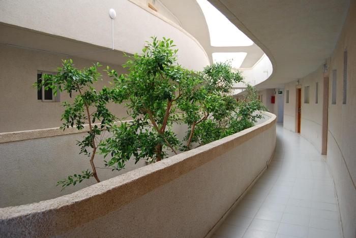 pilar de la horadada