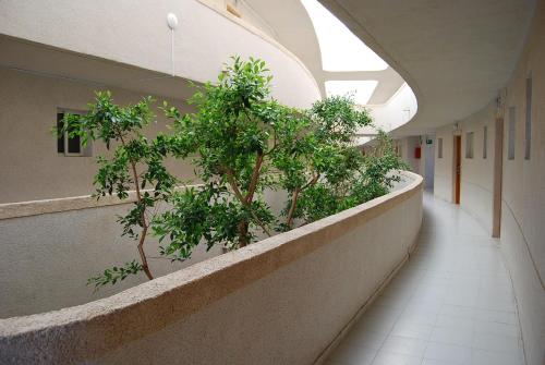 pilar de la horadada