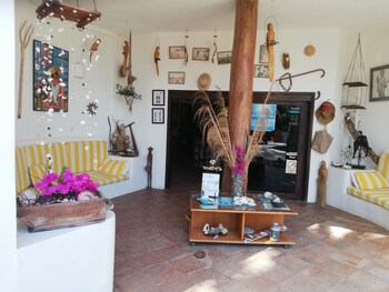 steviewonderland playa el yaque