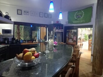 steviewonderland playa el yaque