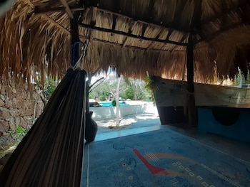 steviewonderland playa el yaque