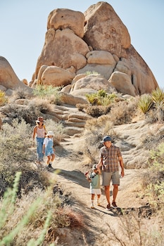 autocamp joshua tree