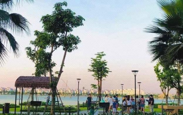 bom homes vinhomes ocean park