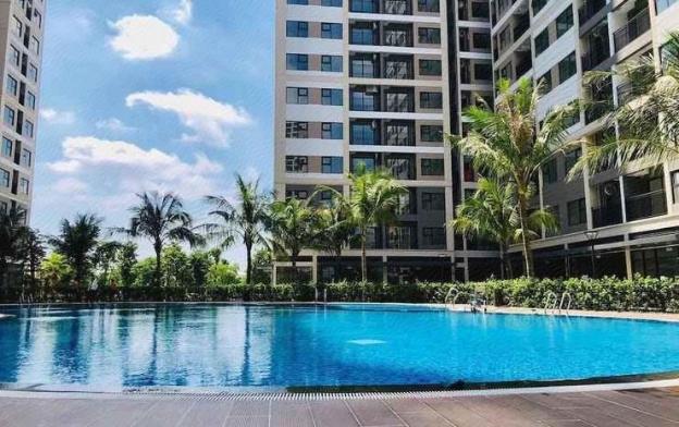 bom homes vinhomes ocean park