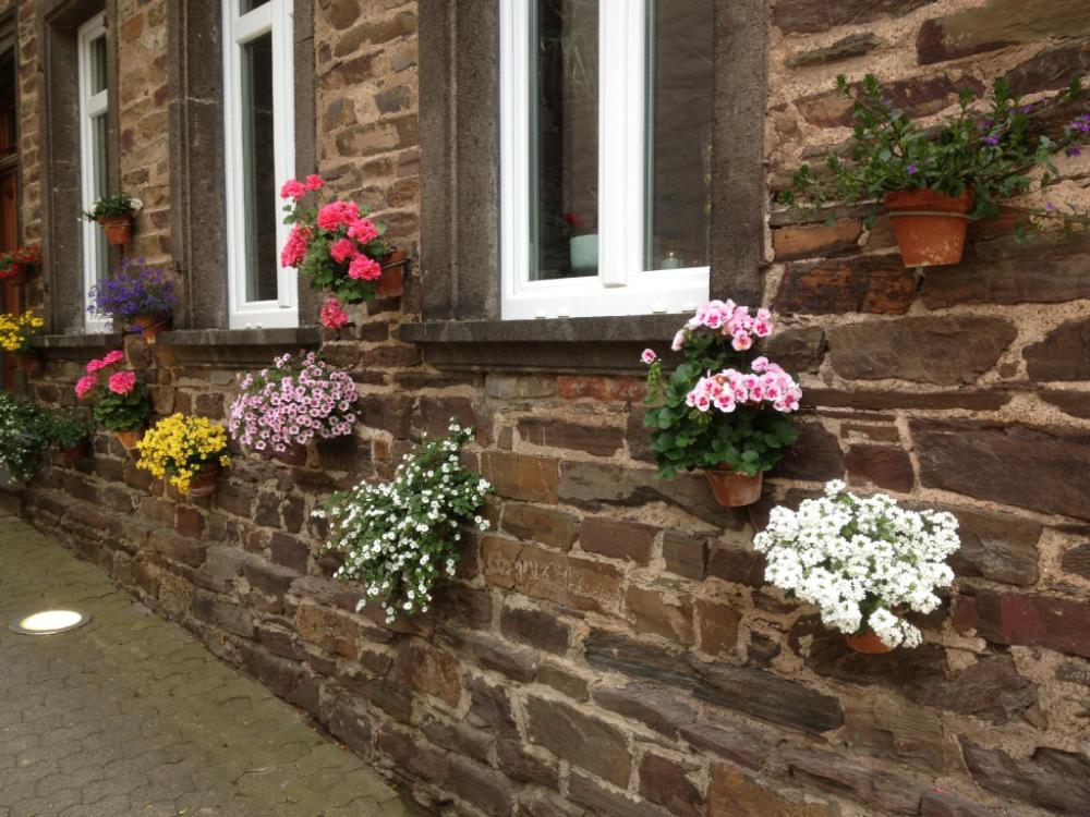 moseltel ernst cochem