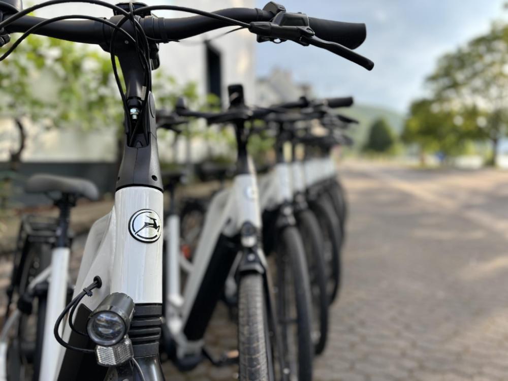 moseltel ernst cochem