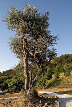 bioagriturismo il falco