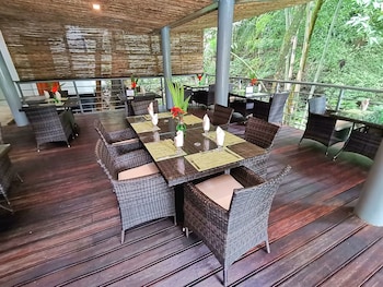 jungle vista boutique hotel