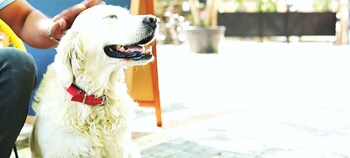 manastirhan otel kazdaglari