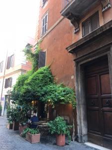 appartamento in lucina