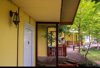 petrich