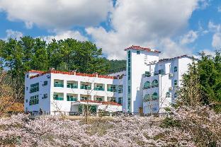 beach castle hotel and resort