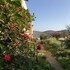 elounda heights adults only