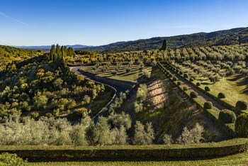 torre a cona wine estate