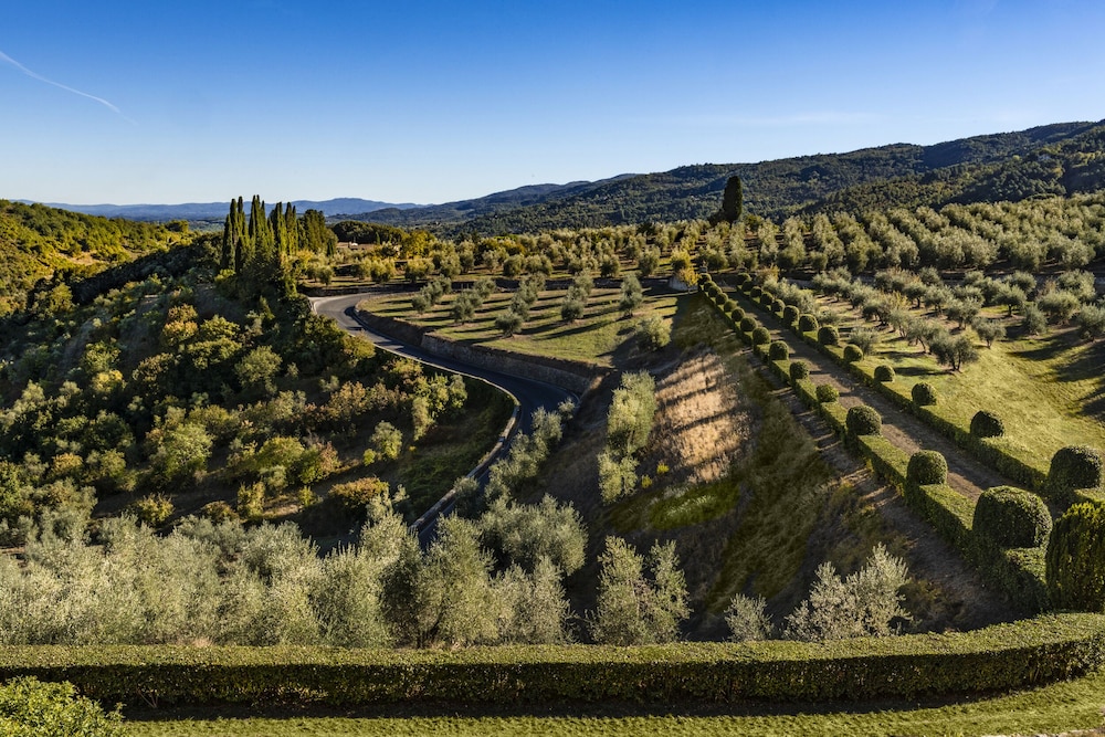 torre a cona wine estate