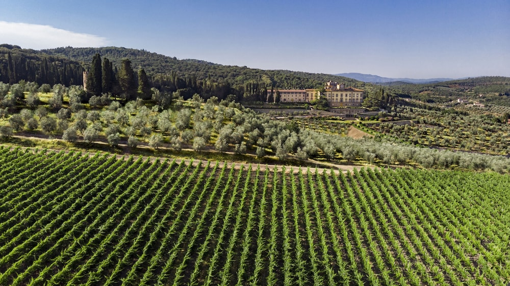 torre a cona wine estate