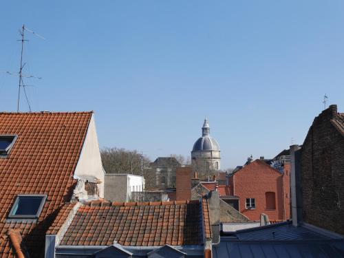 le chat qui dort vieux lille iii