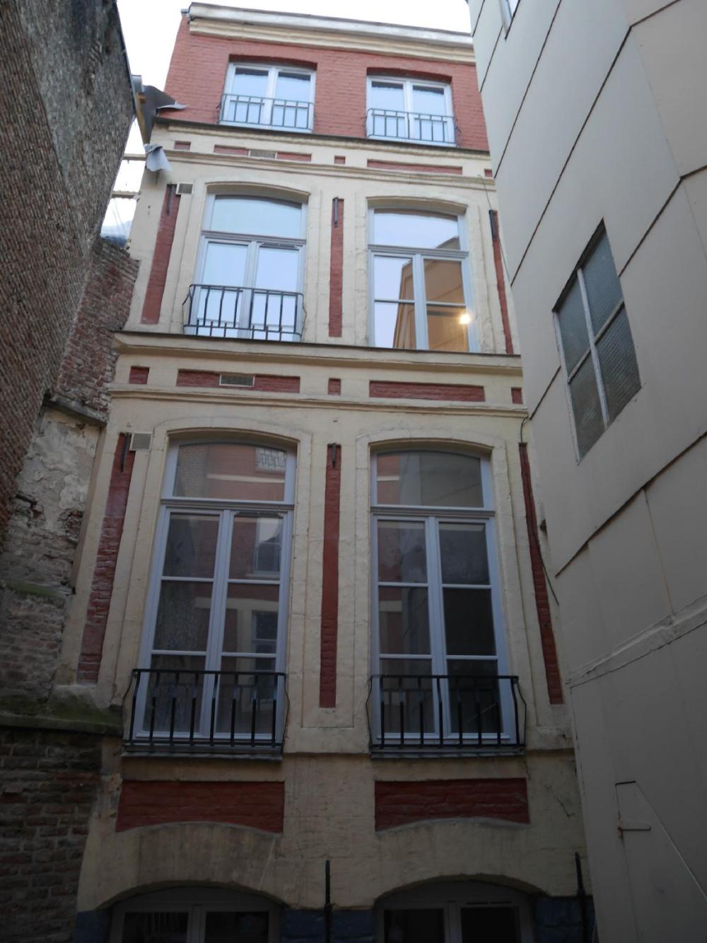 le chat qui dort vieux lille iii