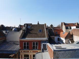 le chat qui dort vieux lille iii