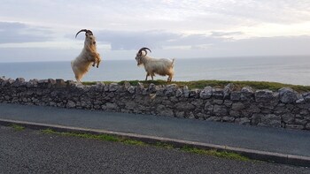 llandudno