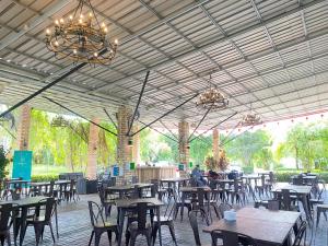 dbambookamp desa wisata ekang