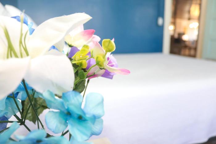 bellas boutique hotel