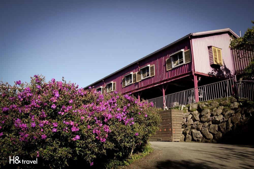 hand seeking alishan sunrise