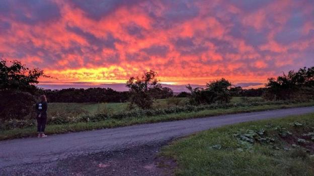 guest house heartn tree