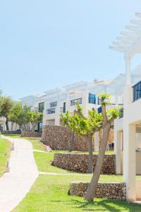 bimbolla apartaments