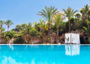 bimbolla apartaments