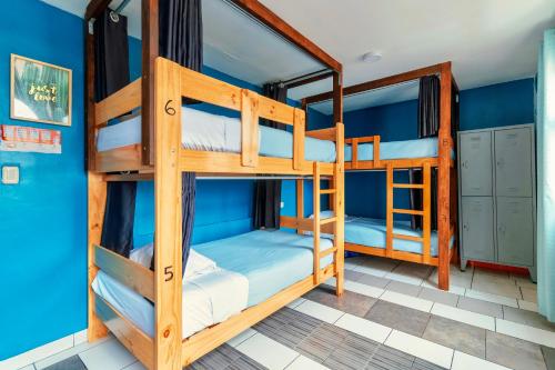 the secret garden hostel