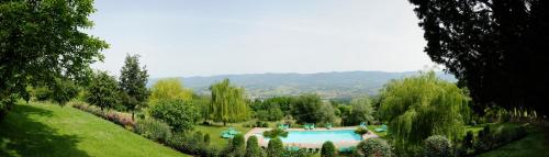 vicchio