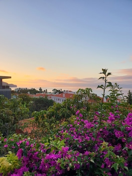 guesthouse vila lusitania