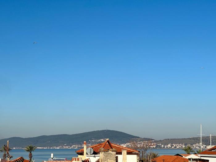 alancha otel