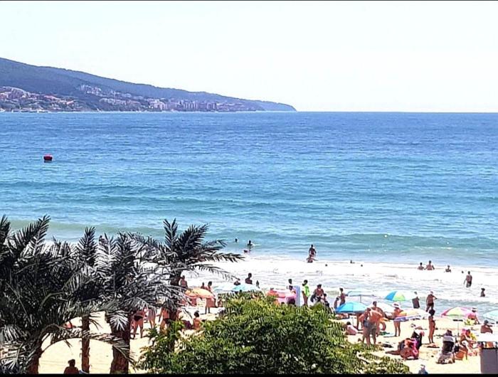 hotel largo beach