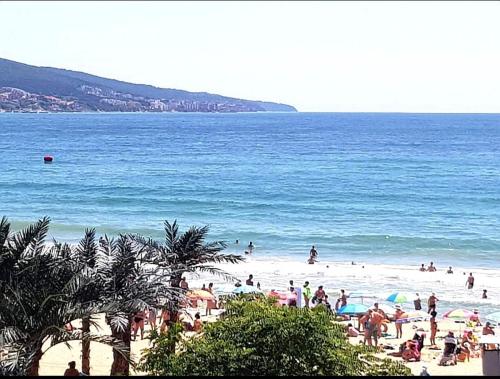 hotel largo beach