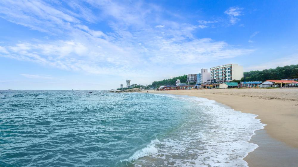 gangneung four season hotel and pension