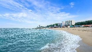 gangneung four season hotel and pension