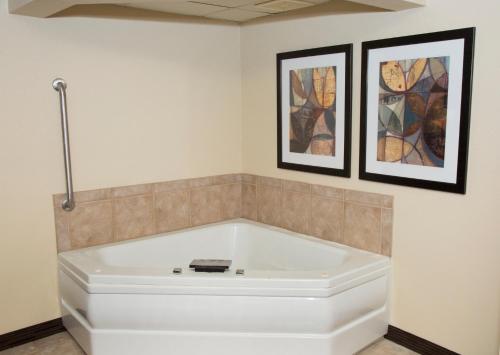 americinn by wyndham mounds view minneapolis