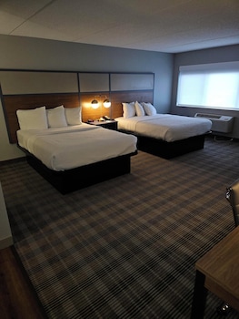 americinn by wyndham mounds view minneapolis