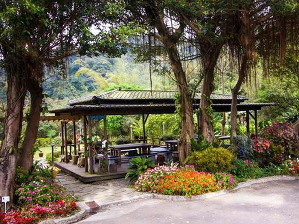 taiwan reishi expert bed and breakfast