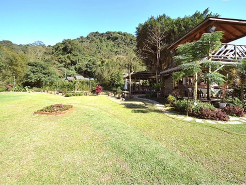 taiwan reishi expert bed and breakfast