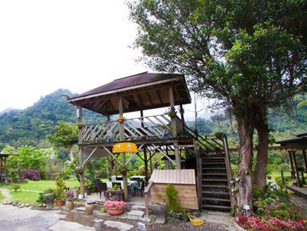 taiwan reishi expert bed and breakfast