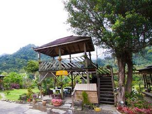 taiwan reishi expert bed and breakfast