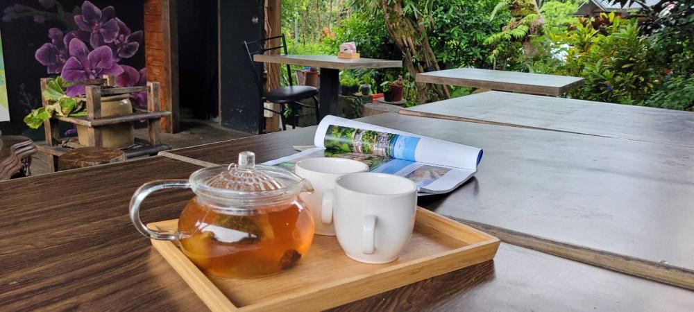 taiwan reishi expert bed and breakfast