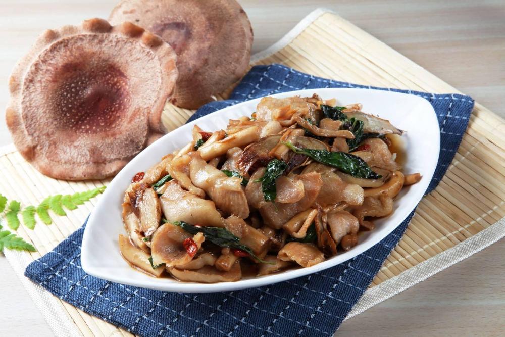 taiwan reishi expert bed and breakfast